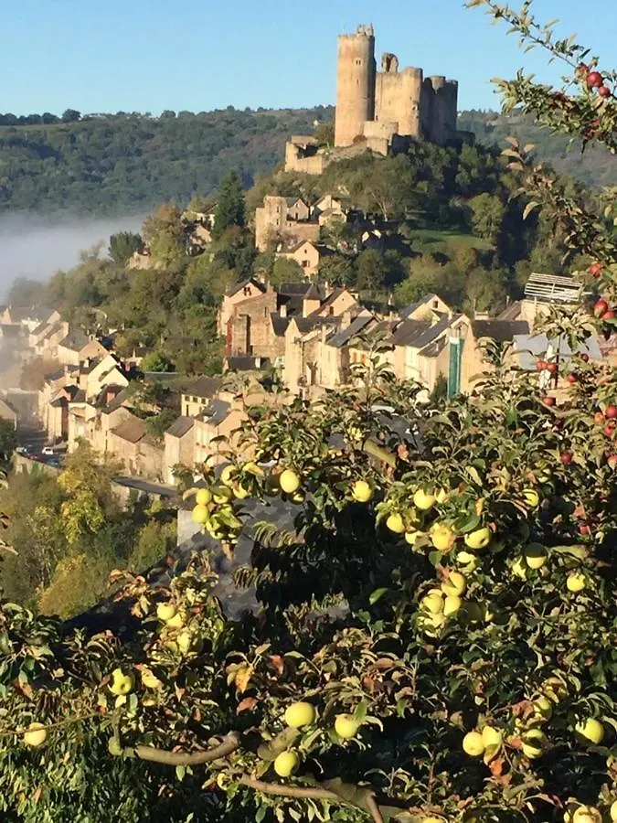 Les Rives De Saint-Blaise - Maison En Pleine Nature A Najac 0*,  France
