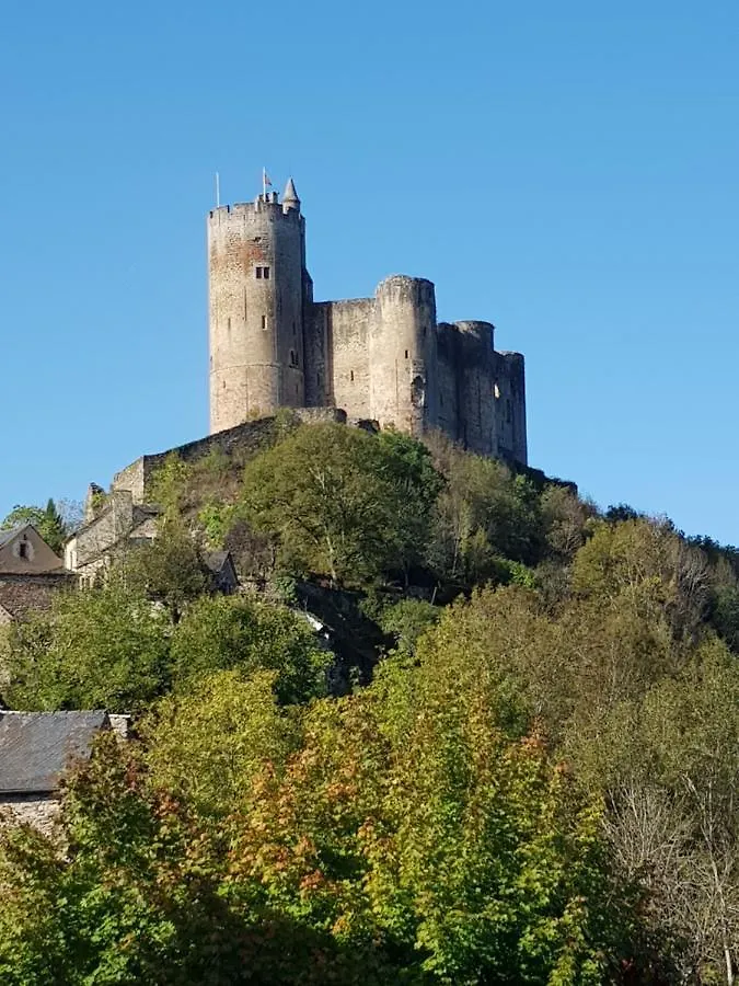 Les Rives De Saint-Blaise - Maison En Pleine Nature A Najac