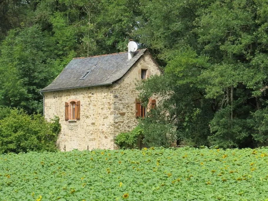 Les Rives De Saint-Blaise - Maison En Pleine Nature A Najac